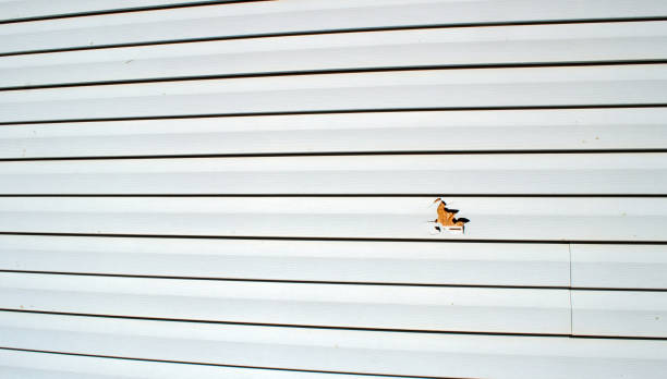Best Residential Vinyl Siding Installation  in Zanesville, OH